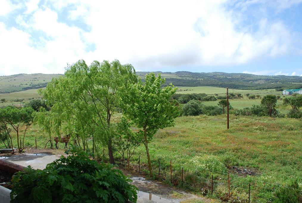 San Jose Del Valle Facinas Exterior photo